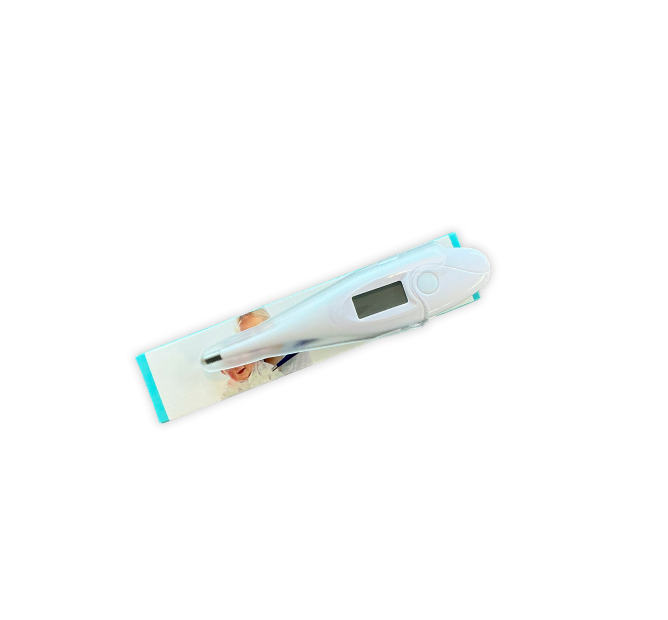 Thermometer